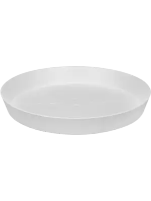 Saucer White