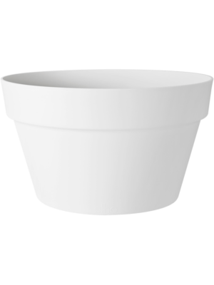 Bowl White