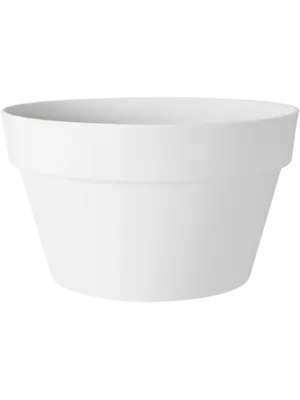 Bowl White