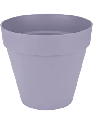 Round Wheels Lavender Lilac