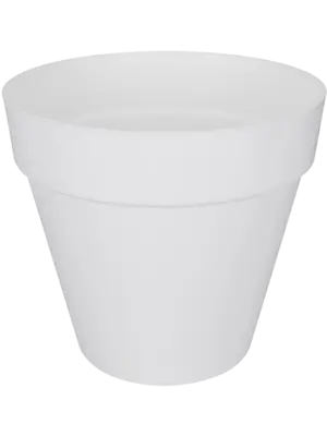 Round White
