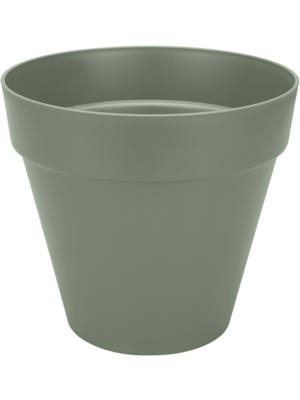 Round Pistachio Green