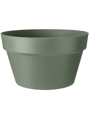 Bowl Pistachio Green