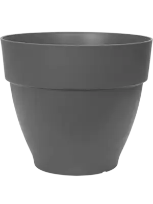 Campana Round Anthracite