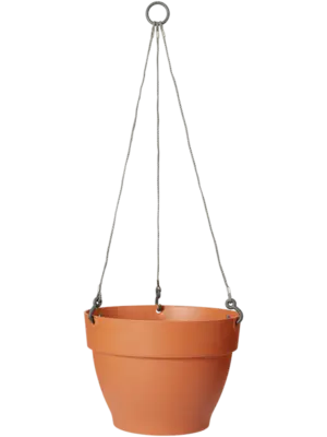 Campana Hanging Basket Terra