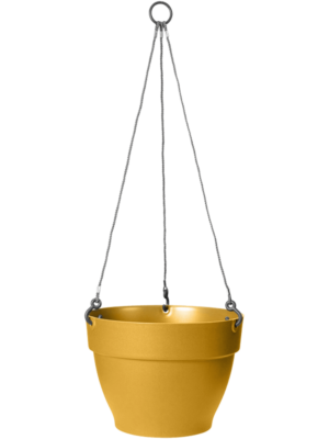 Campana Hanging Basket Honey Yellow