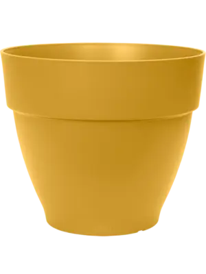 Campana Round Honey Yellow