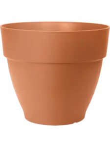 Vibia