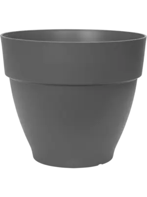 Campana Round Anthracite