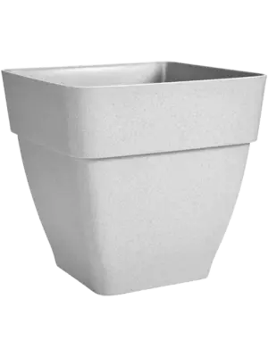 Campana Square Living Concrete