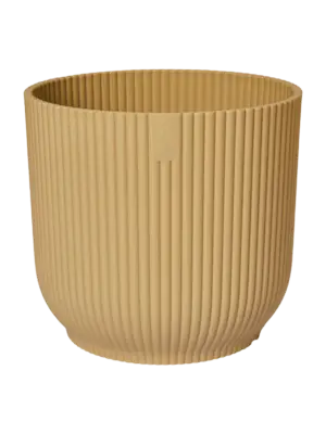 Round Mini Butter Yellow