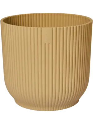Round Butter Yellow
