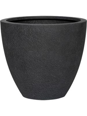 Jesslyn S Midnight Black