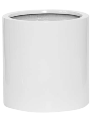 Max S Glossy White