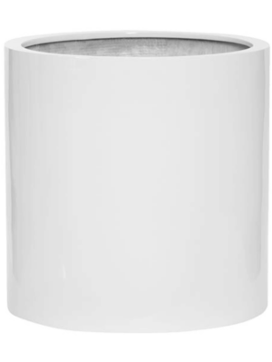 Max M Glossy white