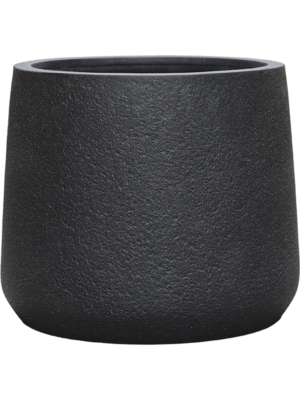 Patt S Midnight Black