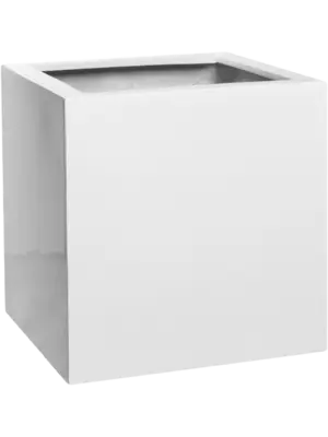 Block S Glossy White