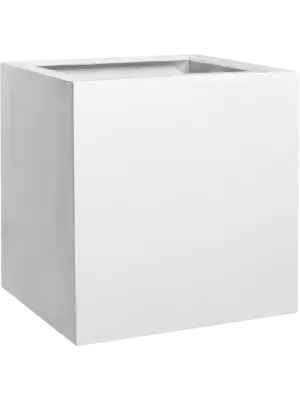 Block M Glossy White