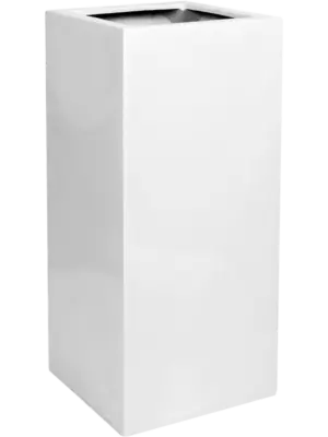 Bouvy M Glossy White