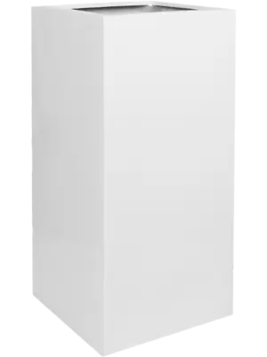 Bouvy L Glossy White