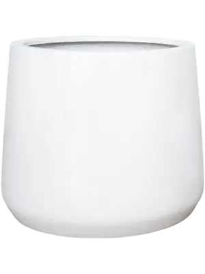 Jumbo Patt M Glossy White