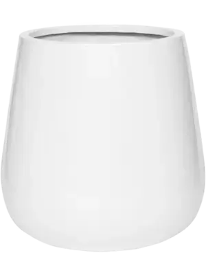 Pax M Glossy White
