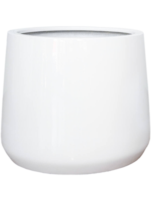 Patt S Glossy White