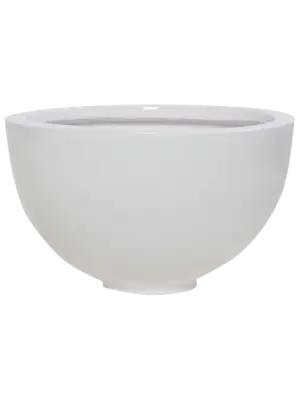 Peter S Glossy White