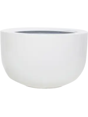 Sunny M Glossy White