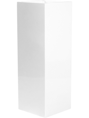Yang Glossy White