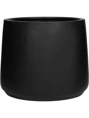 Patt M Black