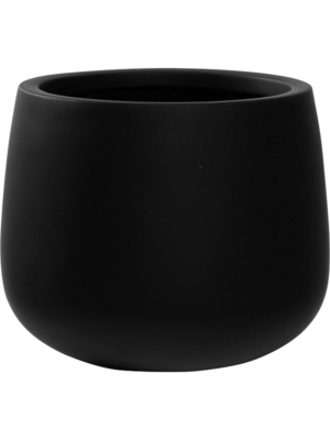Kevan M Black