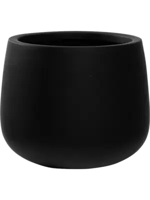 Kevan M Black