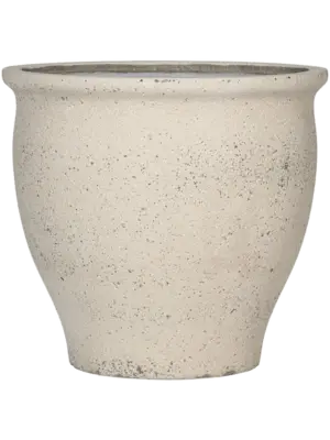 Poseidon L Chalk White