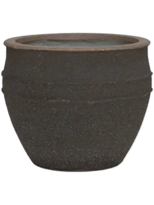 Athena M Umber Brown