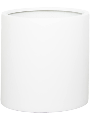 Max S Glossy White