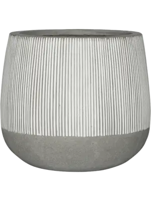 Pax S