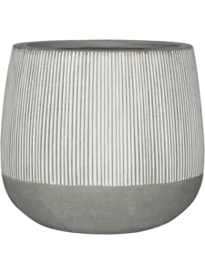 Ridged