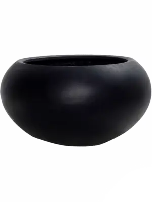 Cora S Black