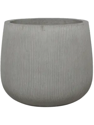 Pax M Cement