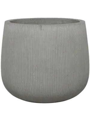 Pax L Cement