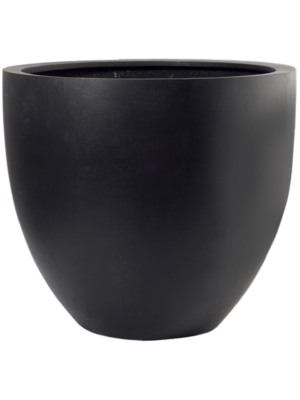 Jesslyn S Black