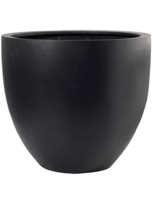Jesslyn S Black
