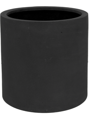 Max M Black