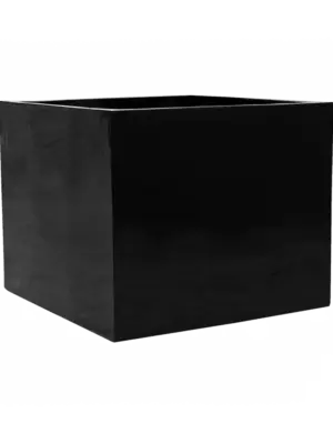 Jumbo Without Feet M Black