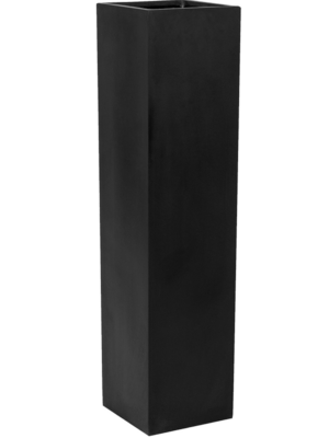 Yenn S Black