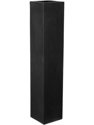 Yenn M Black