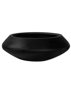 Tara L Black