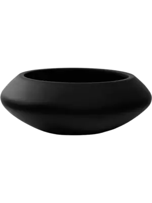 Tara S Black