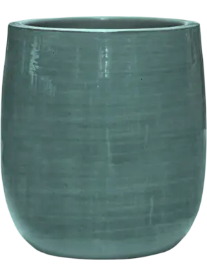 Darcy Aqua